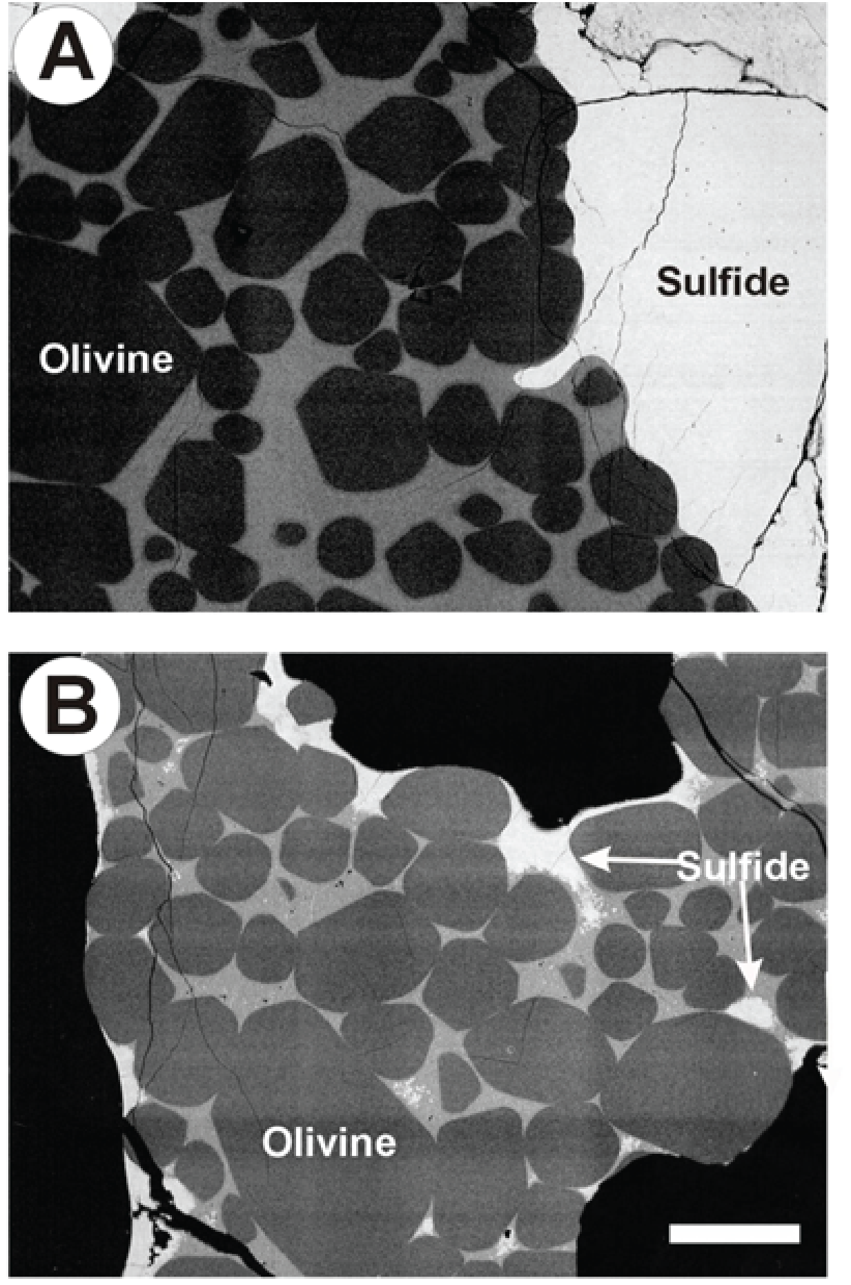 Research_Fig1